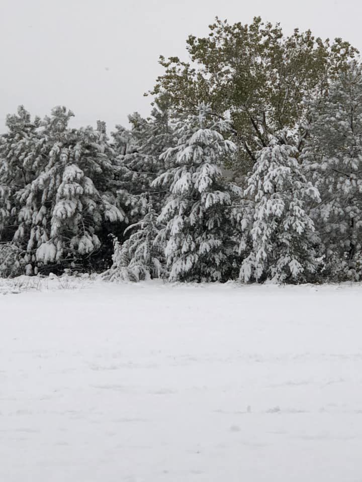 Snow, 10/14